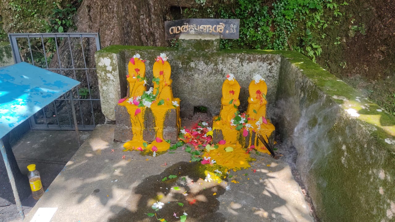 Sree Ayyappa Temple Thachampara Photos