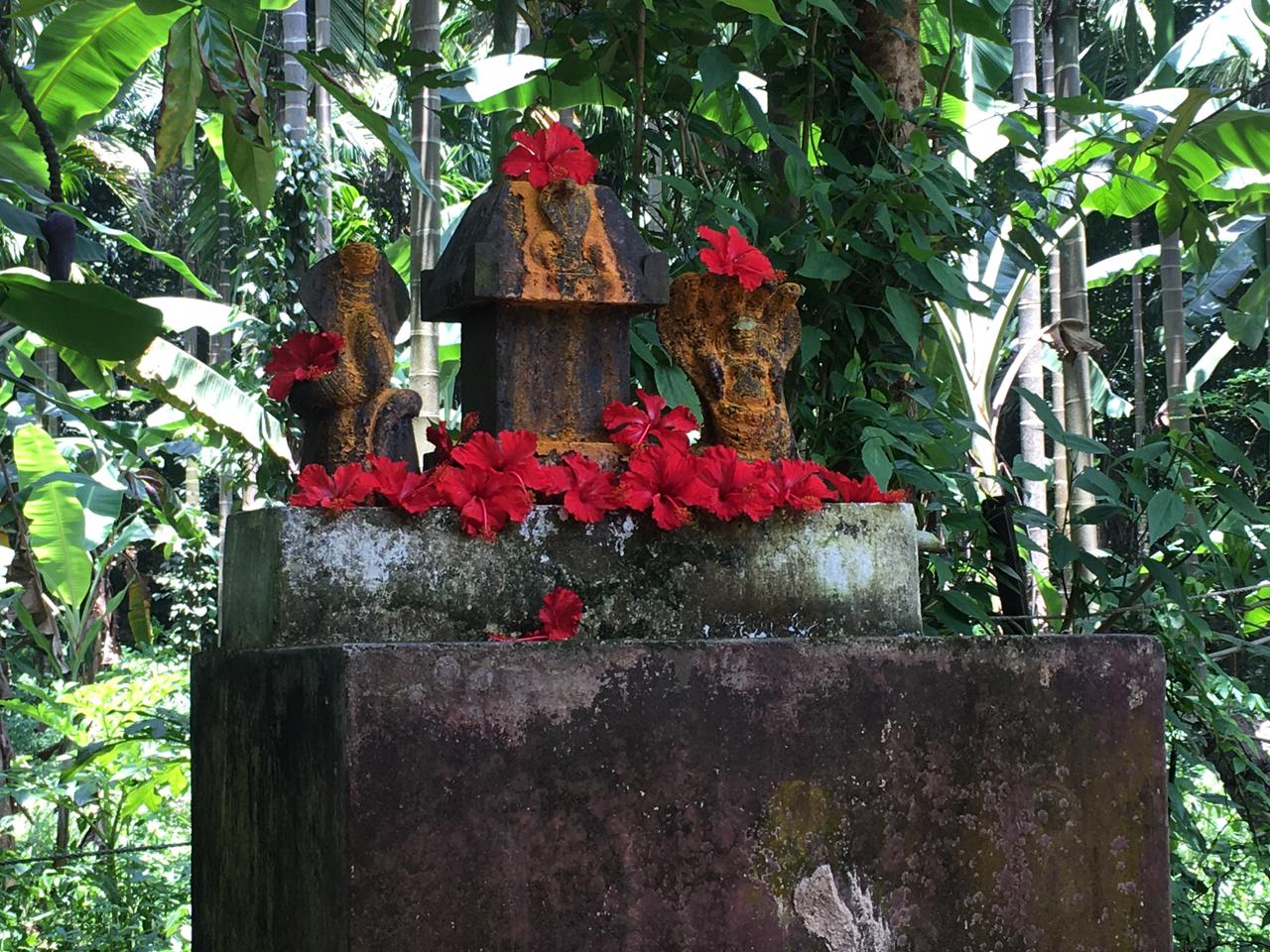 Angadavath Shree Jaladurga Devi Temple Photos