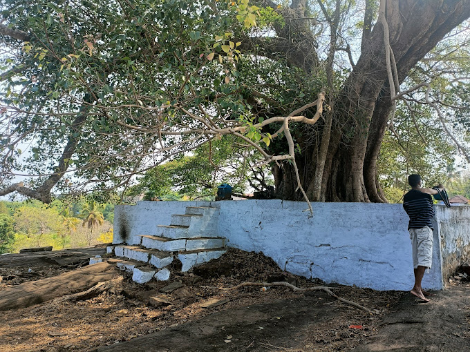 Temple Photos